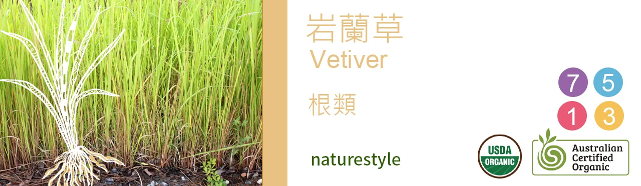單方精油 根類 | 岩蘭草 |Vetiver|
