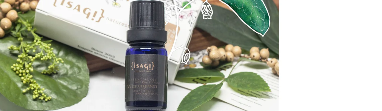 單方精油 木葉類 |冬青樹 |Wintergreen|