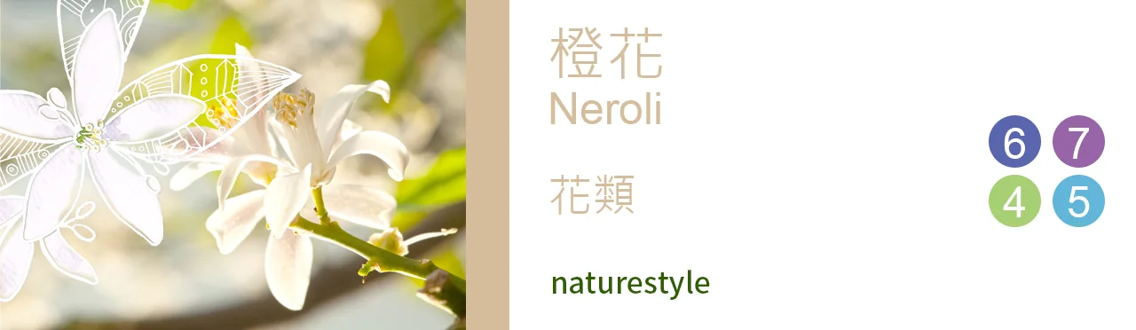 單方精油 花類 | 橙花 |Neroli|