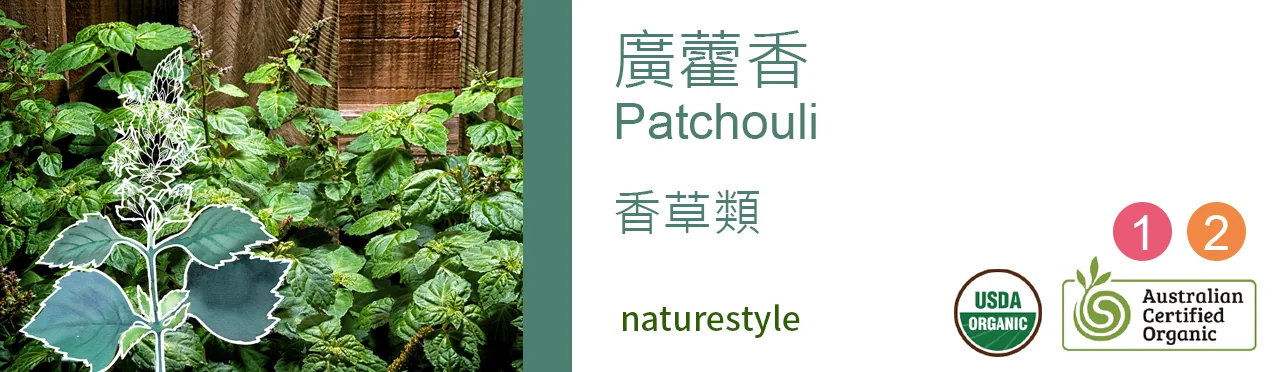 單方精油 香草類 | 廣藿香 |Patchouli|