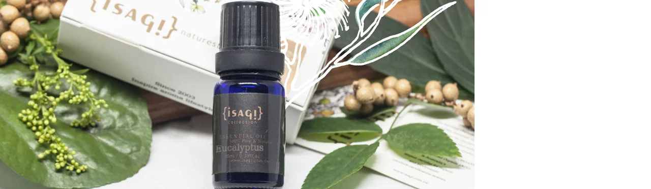 單方精油 木葉類 | 薄荷尤加利 |Eucalyptus|