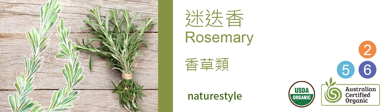 單方精油 香草類 | 迷迭香 |Rosemary|