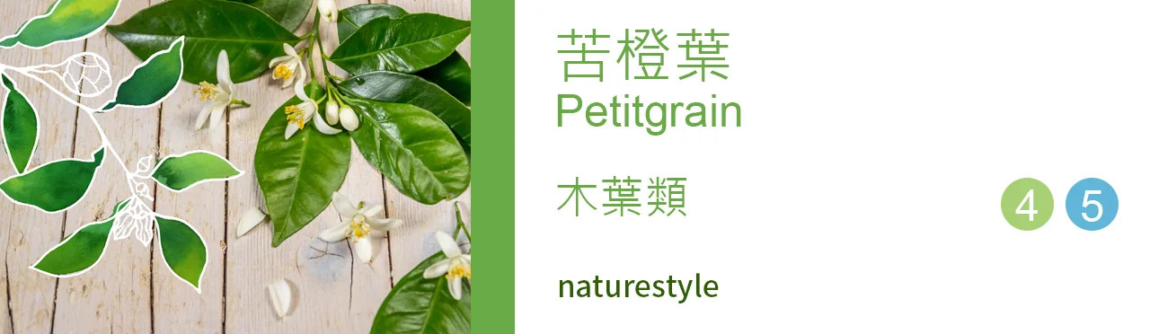 單方精油 木葉類 | 苦橙葉 |Petitgrain|