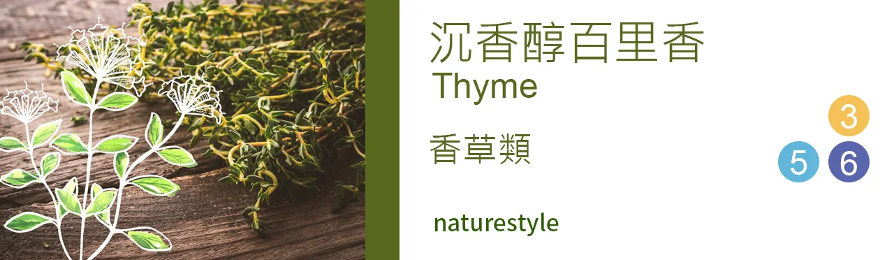 單方精油 香草類 | 沉香醇百里香 |Thyme|
