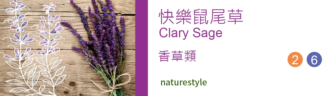 單方精油 香草類 |快樂鼠尾草 |Clary Sage|