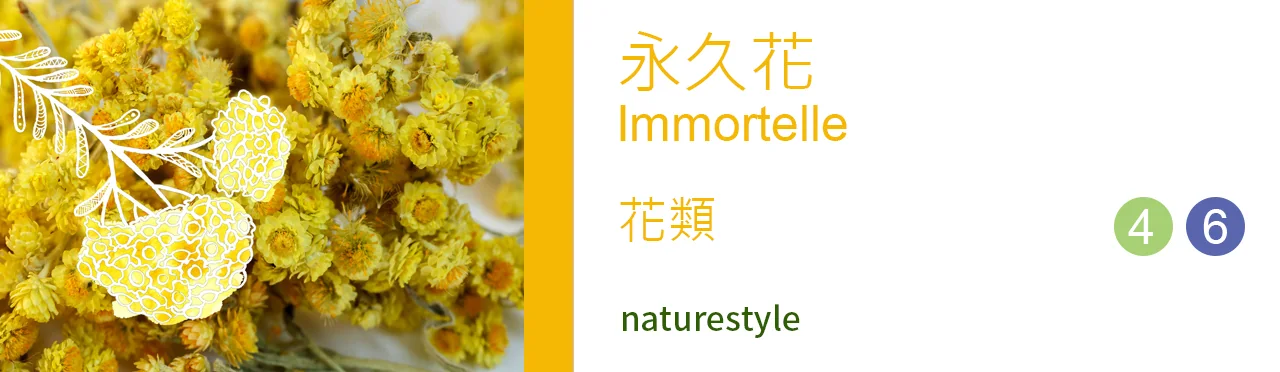 單方精油 花類 | 永久花 |Immortelle|