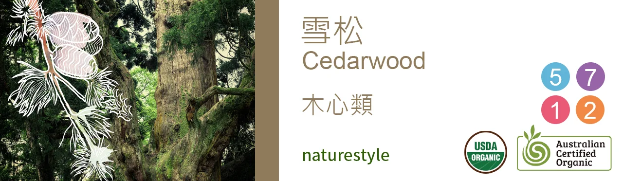 單方精油 木心類 | 雪松 |Cedarwood|