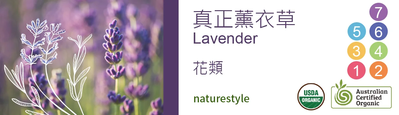 單方精油 花類 | 真正薰衣草 |Lavender|