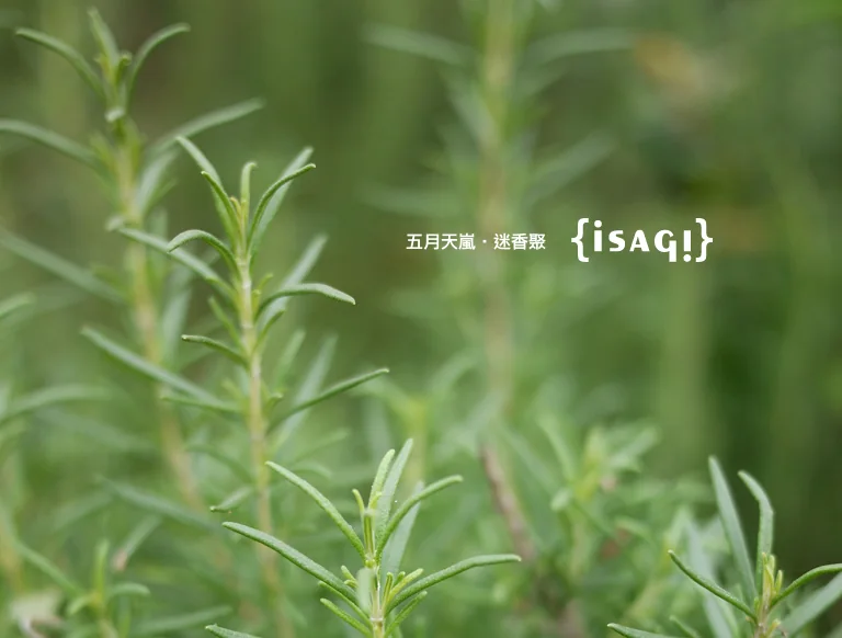 2014五月品牌活動