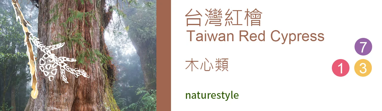 單方精油 木心類 | 台灣紅檜 |Taiwan Red Cypress|