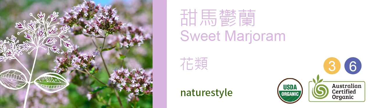 單方精油 花類 | 甜馬鬱蘭 |Sweet Marjoram|