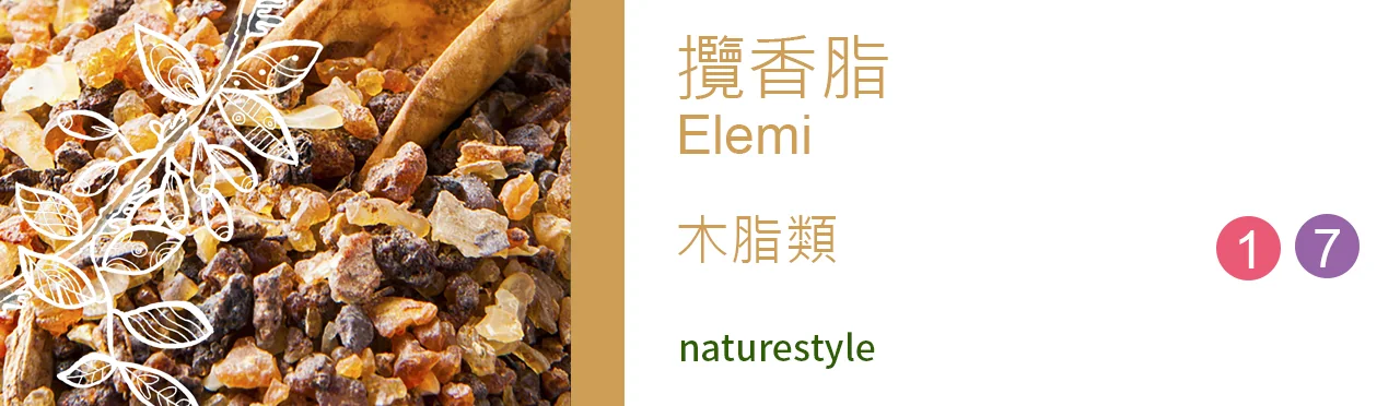 單方精油 木脂類 | 攬香脂 |Elemi|
