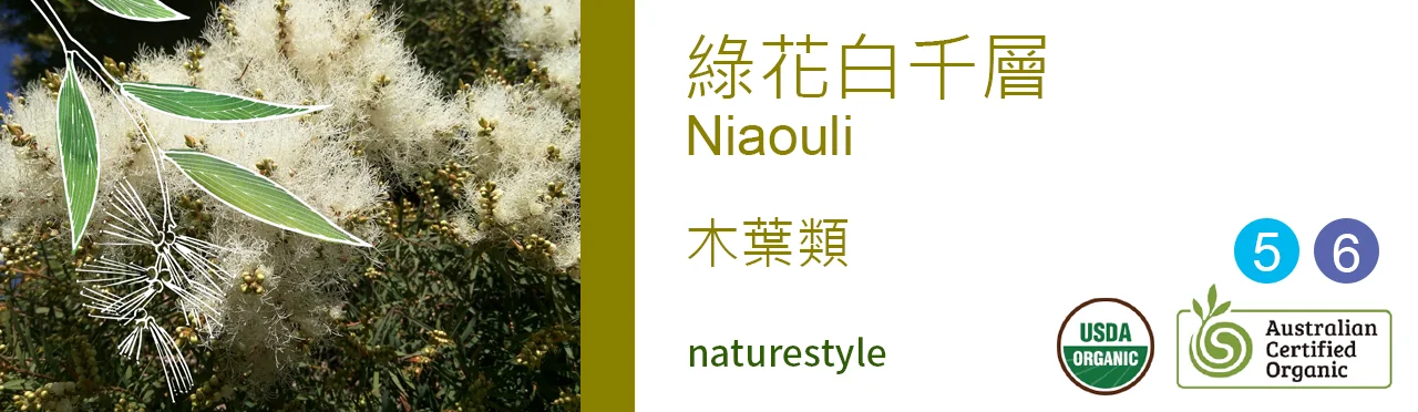 單方精油 木葉類 | 綠花白千層 |Niaouli|