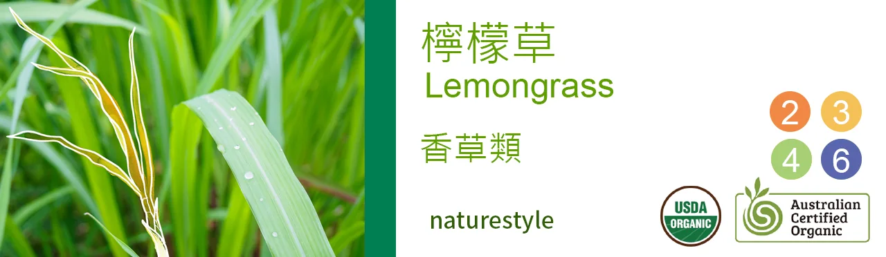 單方精油 香草類 | 檸檬草 |Lemongrass|