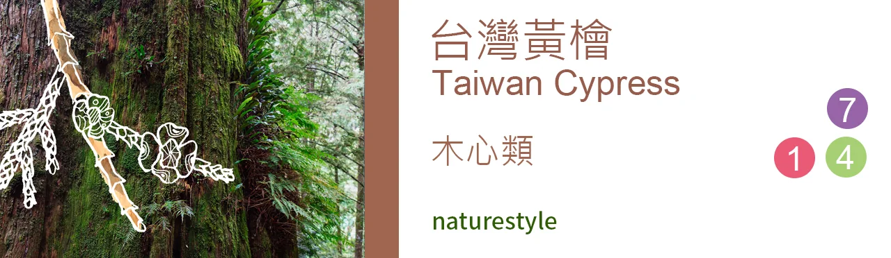 單方精油 木心類 | 台灣黃檜 |Taiwan Cypress|