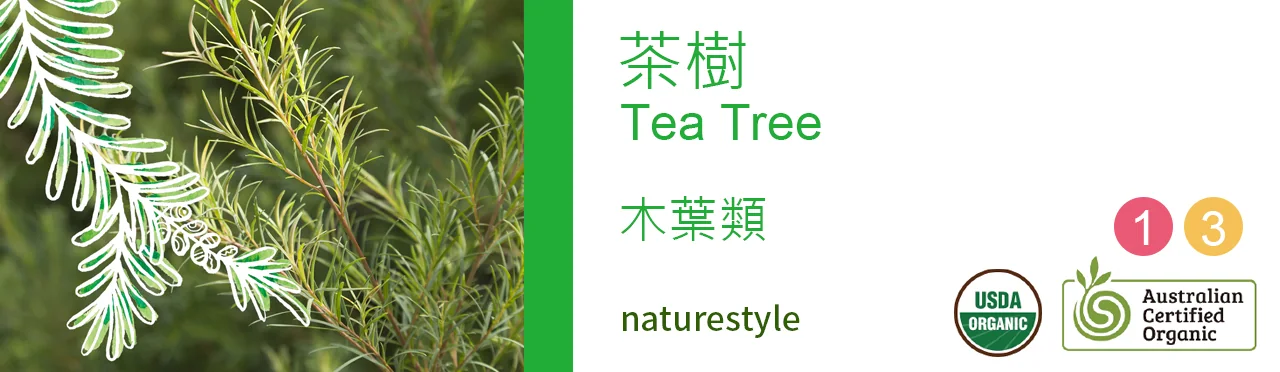 單方精油 木葉類 | 茶樹 |Tea Tree|