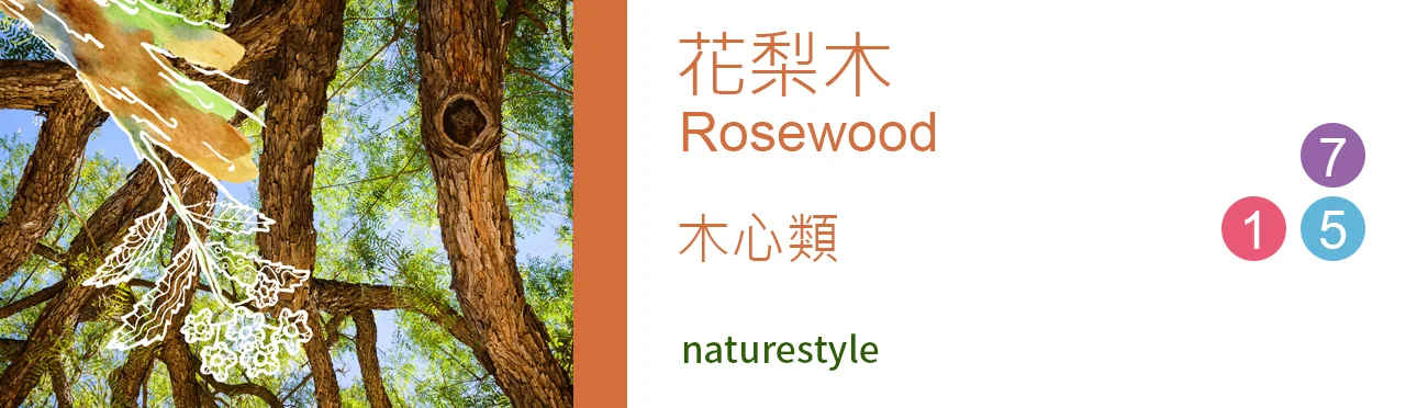 單方精油 木心類 | 花梨木 |Rosewood|
