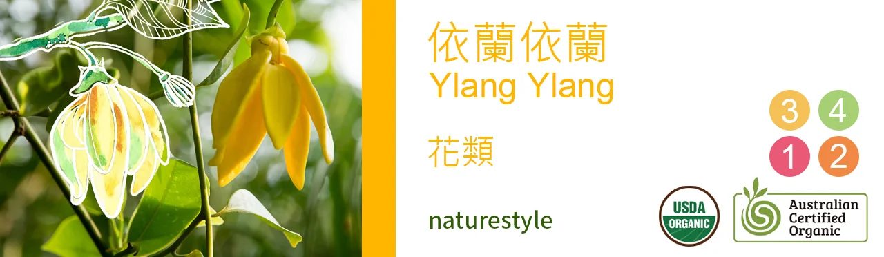 單方精油 花類 | 依蘭依蘭 |Ylang Ylang|