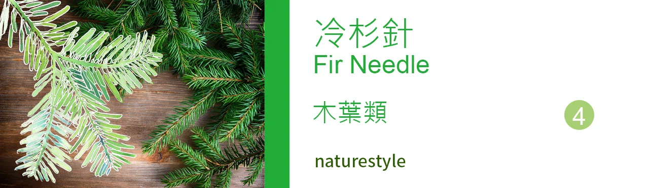 單方精油 木葉類 | 冷杉針 |Fir Needle|