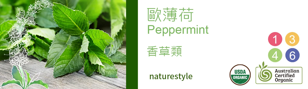 單方精油 香草類 |歐薄荷 |Peppermint|