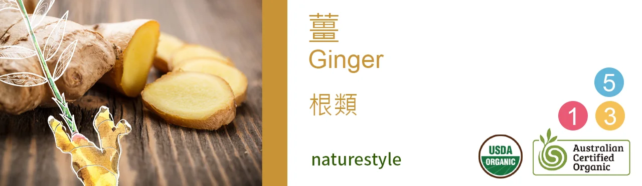 單方精油 根類 | 薑 |Ginger|